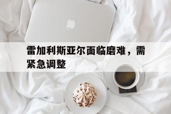 雷加利斯亚尔面临磨难，需紧急调整的简单介绍